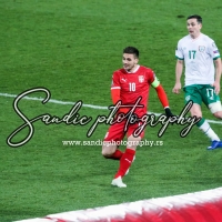 Serbia - Ireland (081)